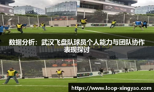 数据分析：武汉飞盘队球员个人能力与团队协作表现探讨
